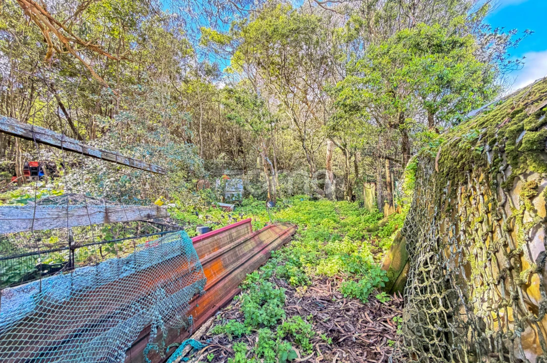 Terreno para Venda em Rabo de Peixe Foto 9