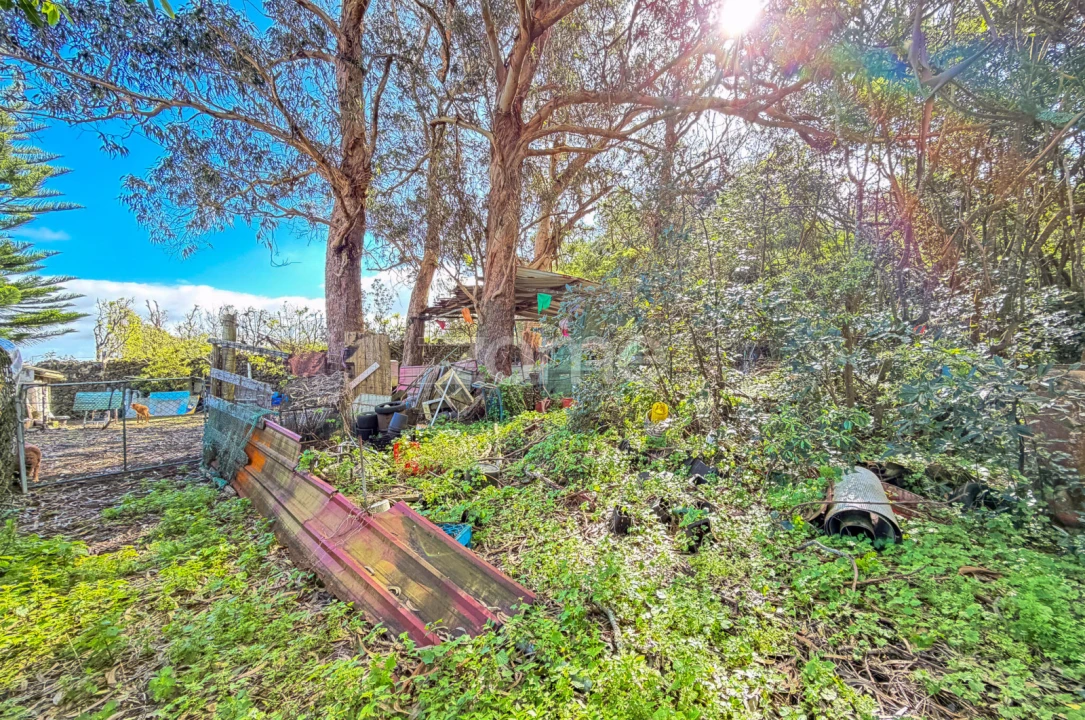Terreno para Venda em Rabo de Peixe Foto 10