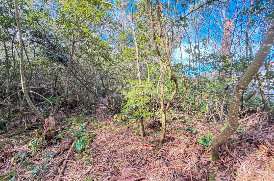 Terreno para Venda em Rabo de Peixe Foto 12