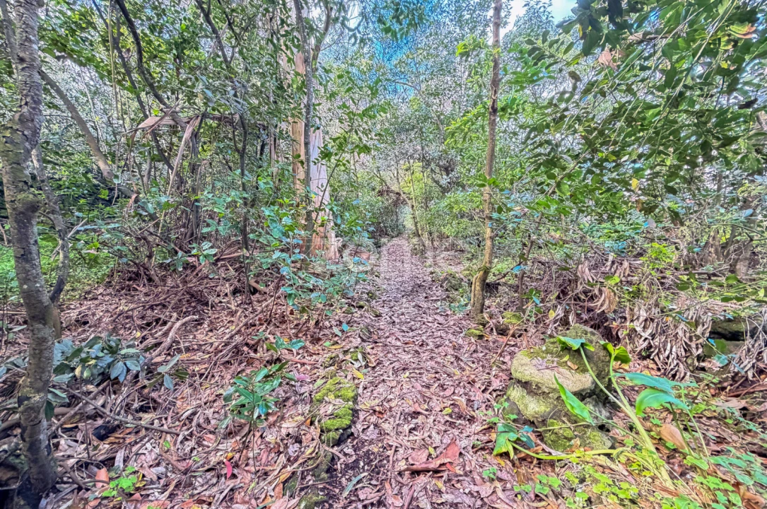Terreno para Venda em Rabo de Peixe Foto 13