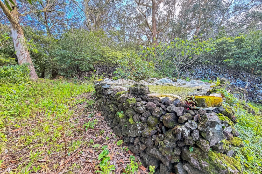 Terreno para Venda em Rabo de Peixe Foto 16