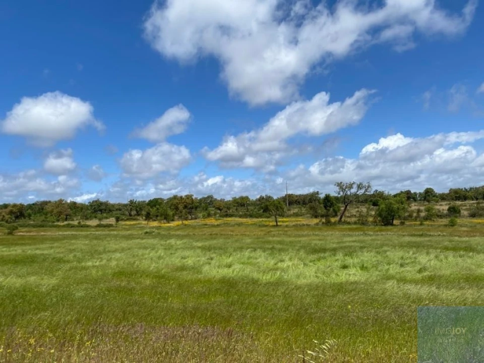 Terreno Agricola ou Rústico para Venda em Cercal Foto 1