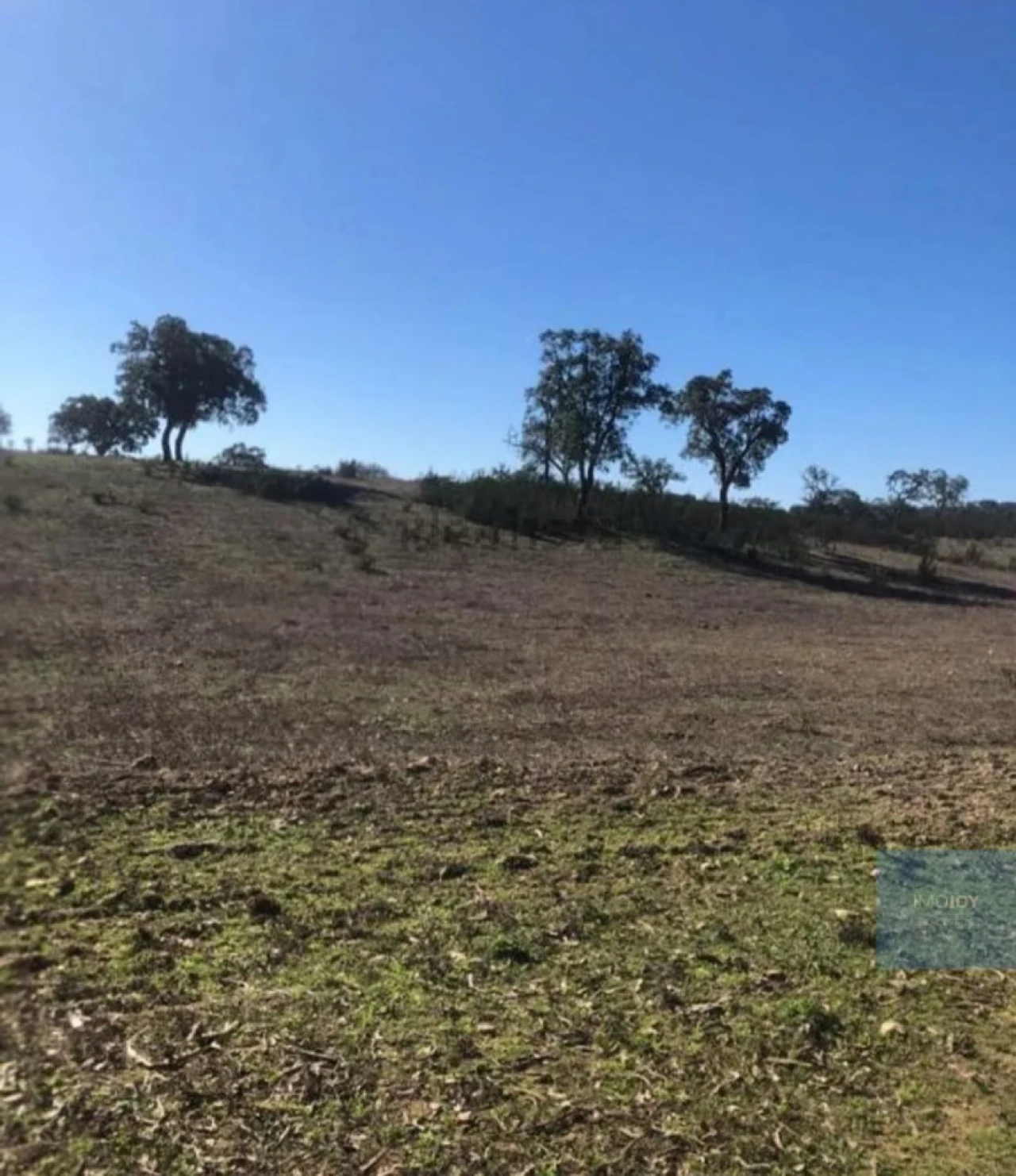 Terreno Agricola ou Rústico para Venda em Cercal Foto 3
