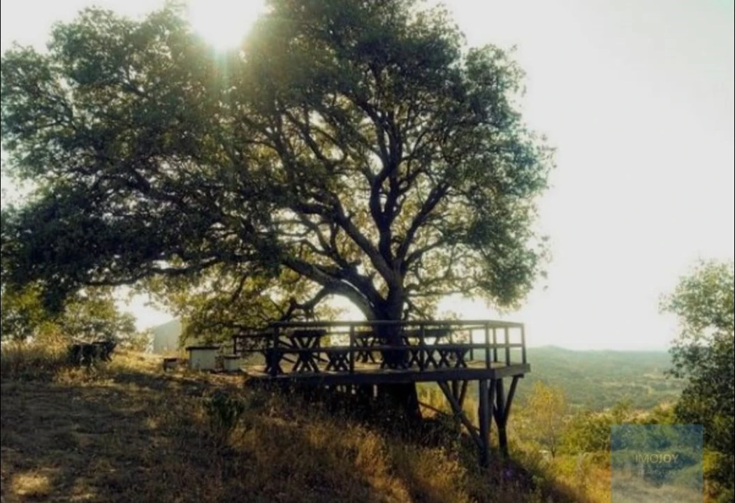 Terreno Agricola ou Rústico para Venda em Cercal Foto 4