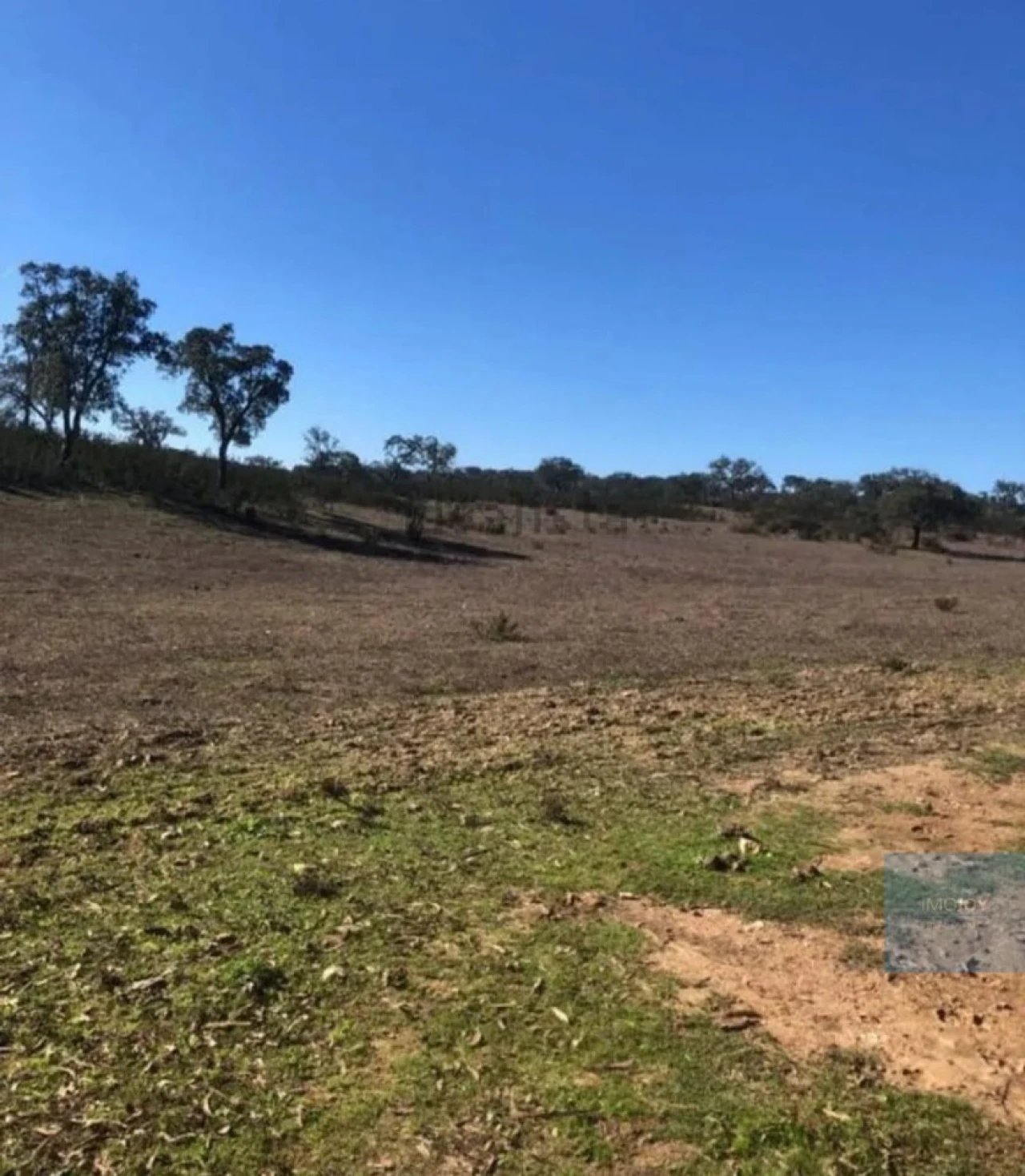 Terreno Agricola ou Rústico para Venda em Cercal Foto 9