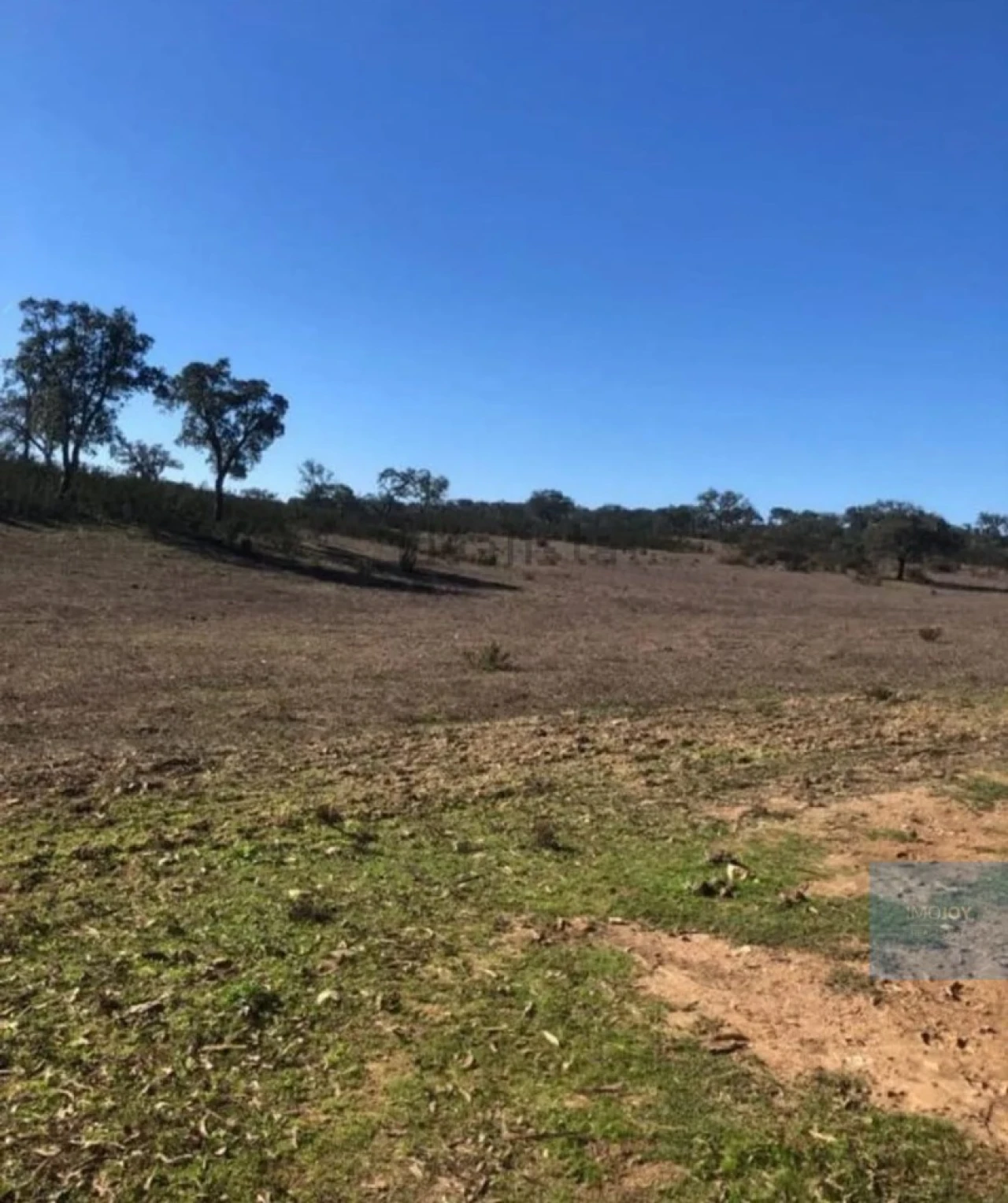 Terreno Agricola ou Rústico para Venda em Cercal Foto 14