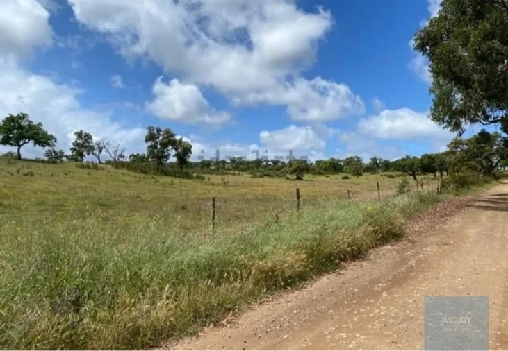 Terreno Agricola ou Rústico para Venda em Cercal Foto 2