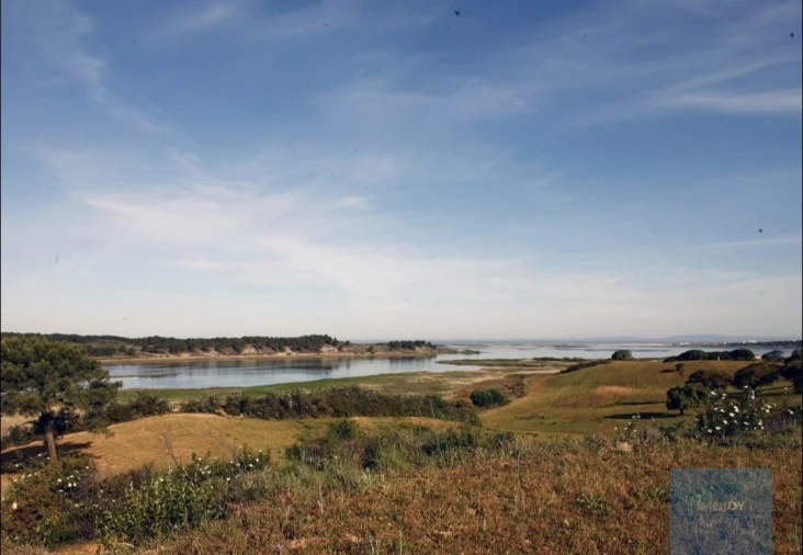 Terreno Agricola ou Rústico para Venda em Cercal Foto 6