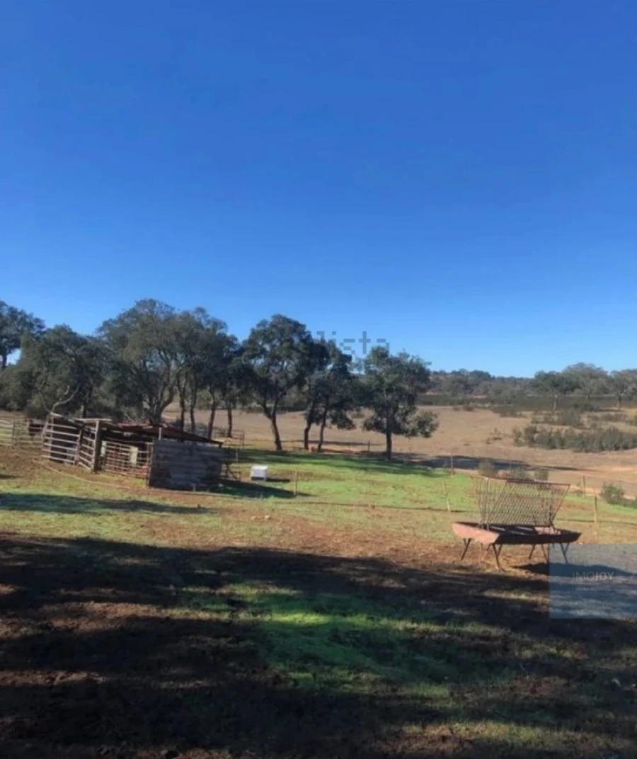 Terreno Agricola ou Rústico para Venda em Cercal Foto 7