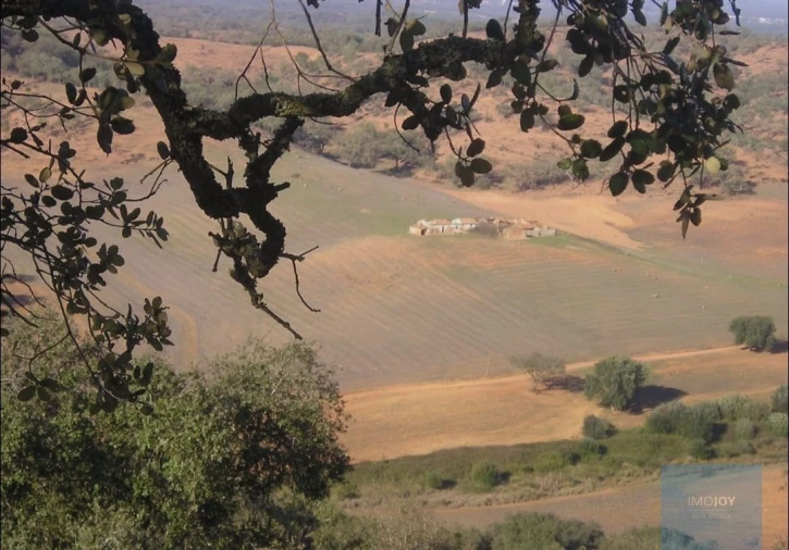 Terreno Agricola ou Rústico para Venda em Cercal Foto 10