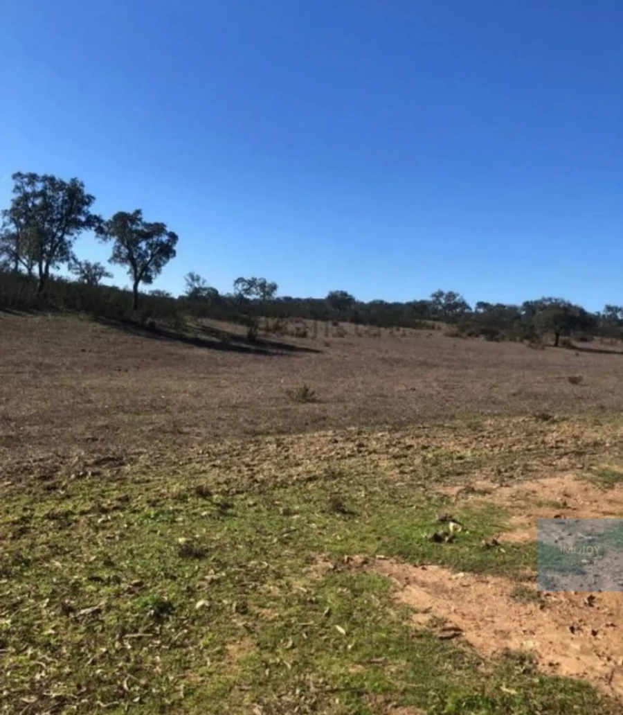 Terreno Agricola ou Rústico para Venda em Cercal Foto 11