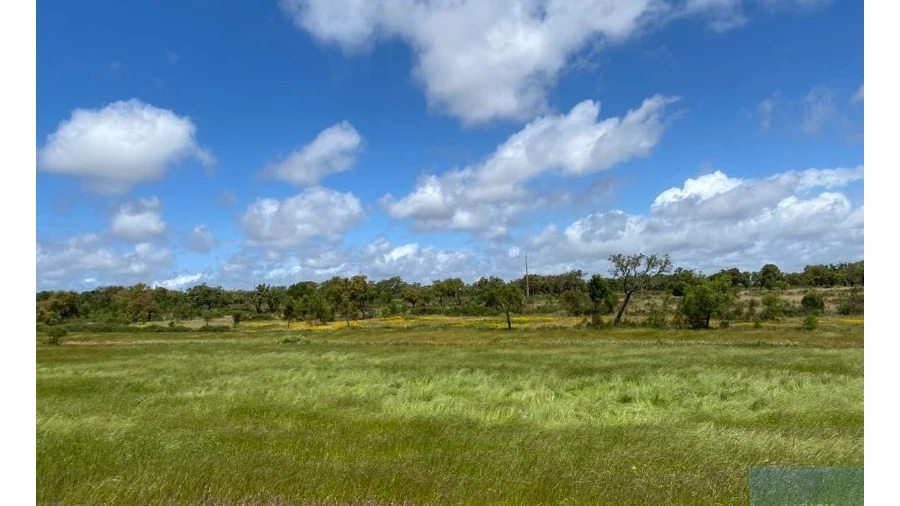 Terreno Agricola ou Rústico para Venda em Cercal
