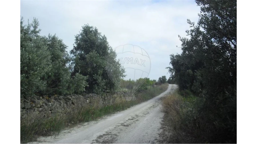Terreno para Venda em Vila Franca de Xira Foto 9