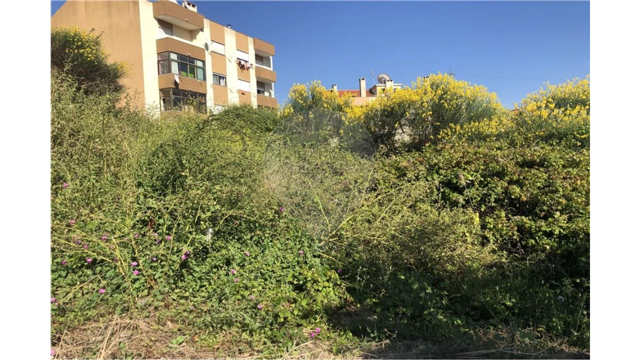 Terreno para Venda em Alhandra, São João dos Montes e Calhandriz Foto 2