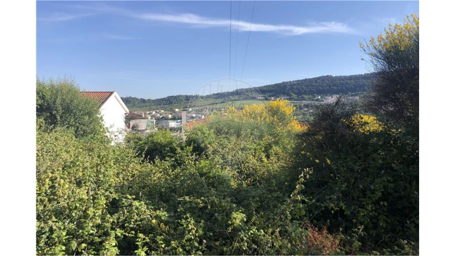 Terreno para Venda em Alhandra, São João dos Montes e Calhandriz Foto 4