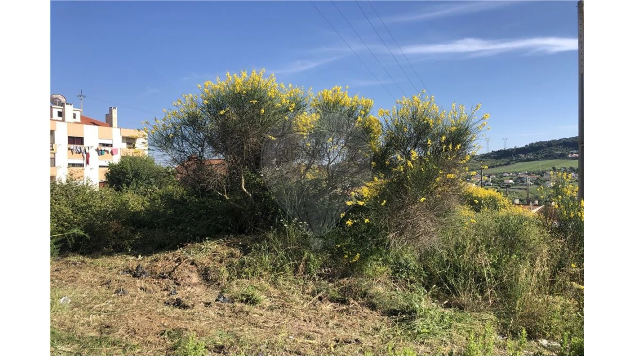 Terreno para Venda em Alhandra, São João dos Montes e Calhandriz Foto 3