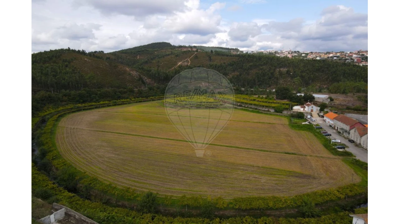 Quinta T0 para Venda em Campo e Sobrado Foto 4