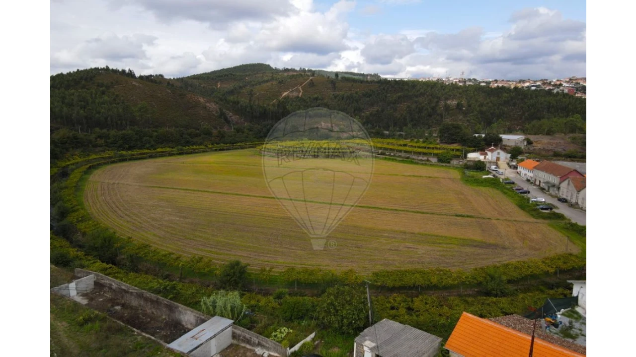 Quinta T0 para Venda em Campo e Sobrado Foto 3