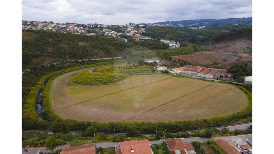 Quinta T0 para Venda em Campo e Sobrado Foto 2