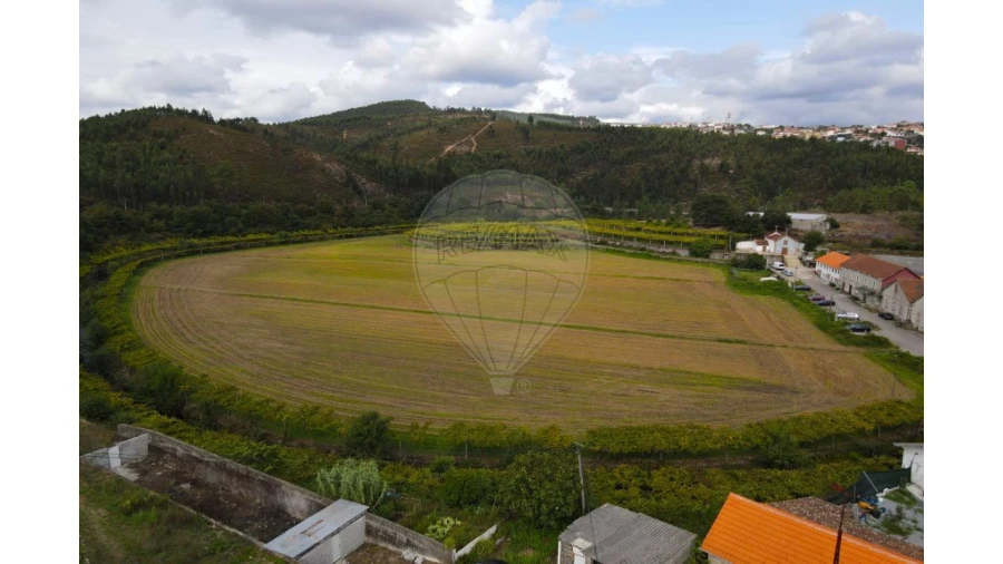 Quinta T0 para Venda em Campo e Sobrado Foto 3