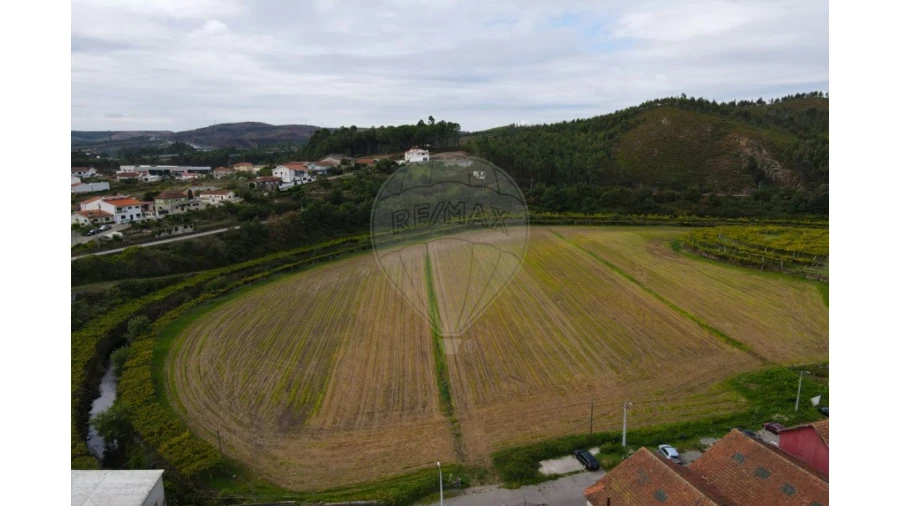 Quinta T0 para Venda em Campo e Sobrado Foto 6