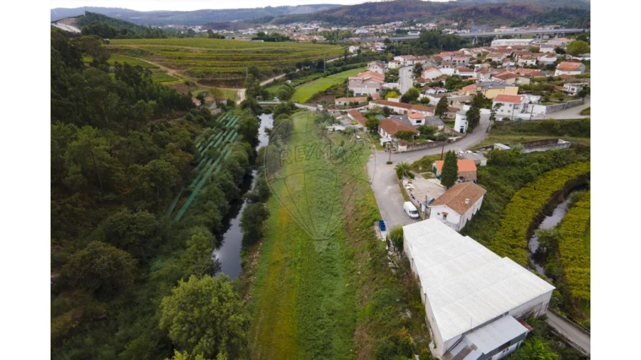 Quinta T0 para Venda em Campo e Sobrado Foto 7