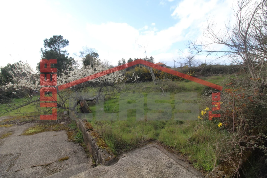 Moradia T4 para Venda em Curopos e Vale de Janeiro Foto 14