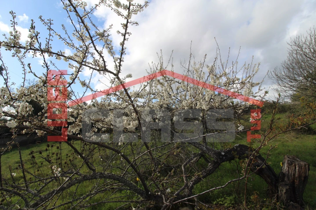 Moradia T4 para Venda em Curopos e Vale de Janeiro Foto 16