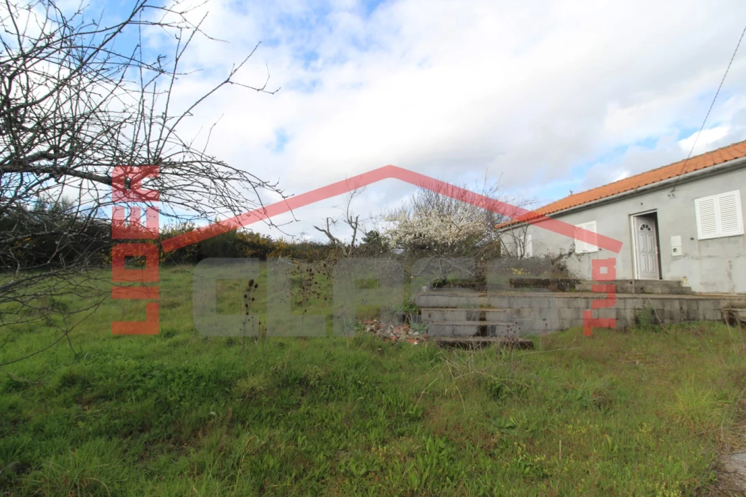 Moradia T4 para Venda em Curopos e Vale de Janeiro Foto 17