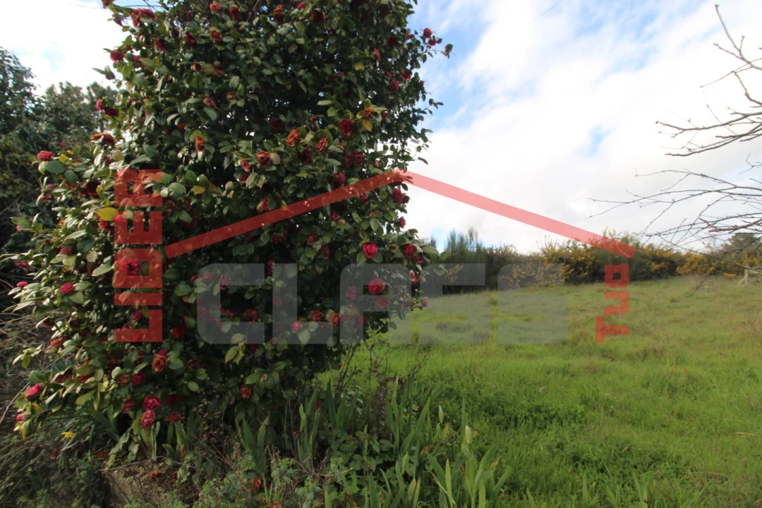 Moradia T4 para Venda em Curopos e Vale de Janeiro Foto 18