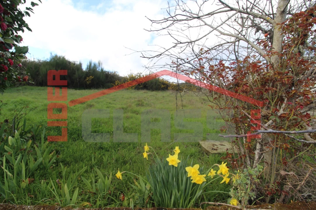 Moradia T4 para Venda em Curopos e Vale de Janeiro Foto 19