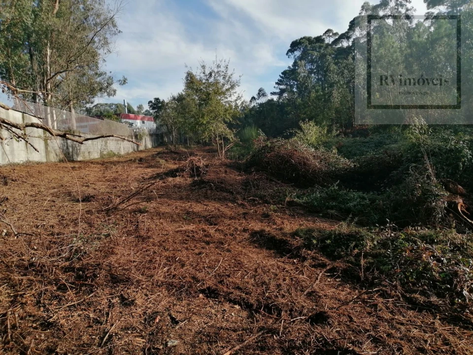 Terreno para Venda em Gemeses Foto 5