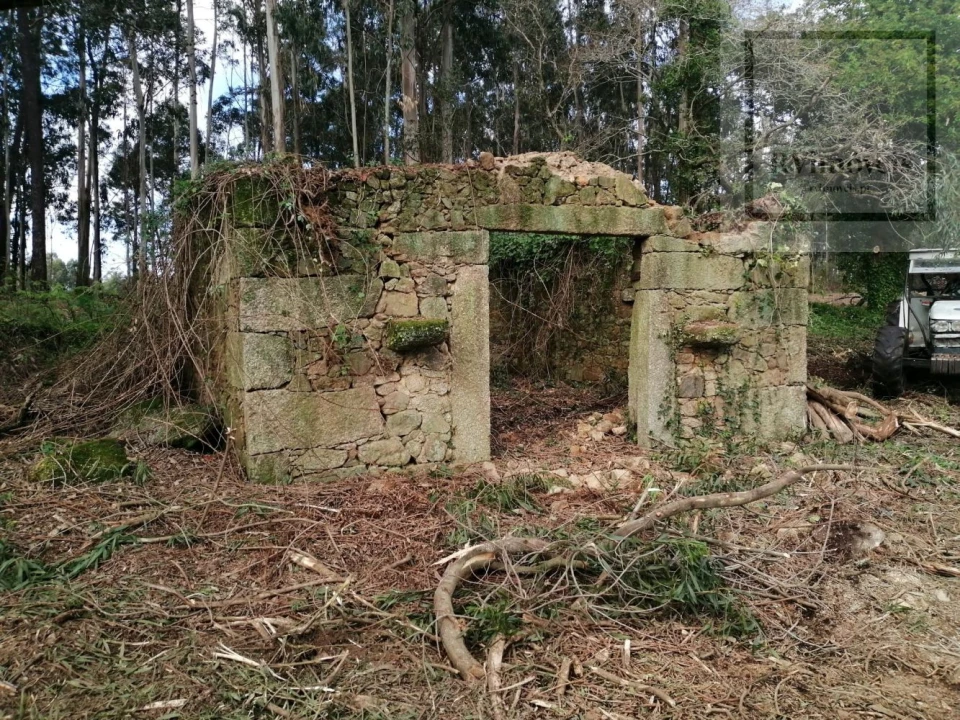 Terreno para Venda em Gemeses Foto 1