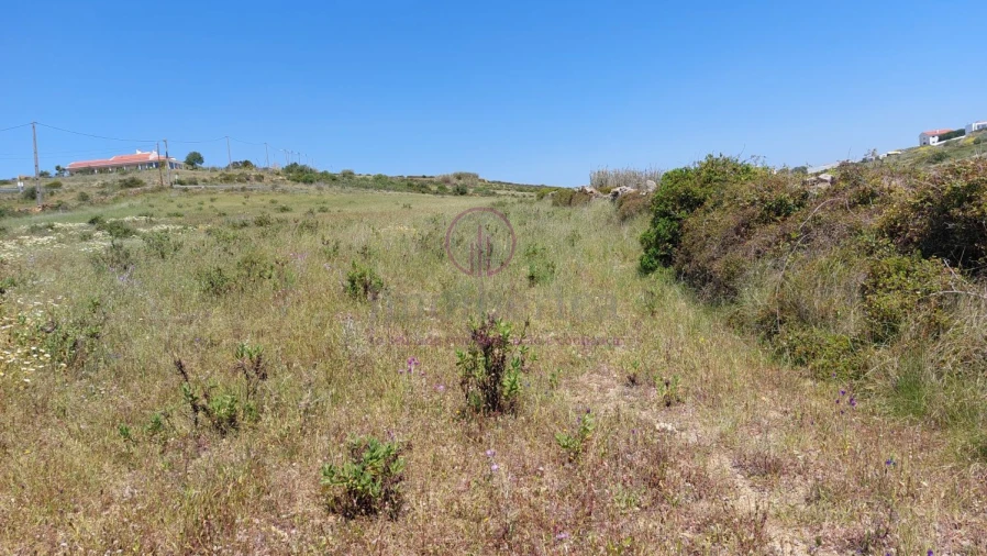 Terreno para Venda em Azinhal Foto 4