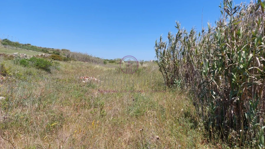 Terreno para Venda em Azinhal Foto 7