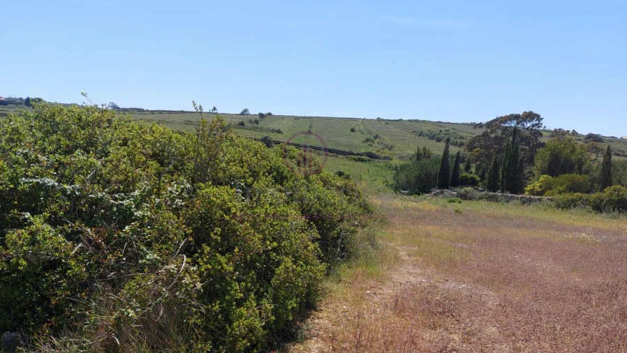 Terreno para Venda em Azinhal Foto 8