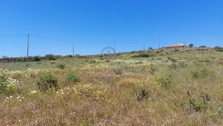 Terreno para Venda em Azinhal Foto 6