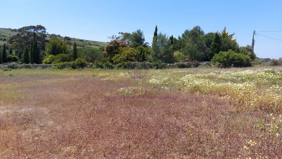 Terreno para Venda em Azinhal Foto 9