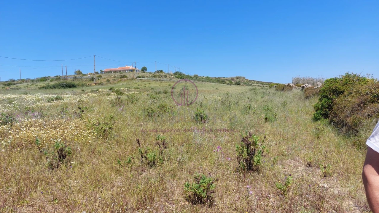 Terreno para Venda em Azinhal Foto 3