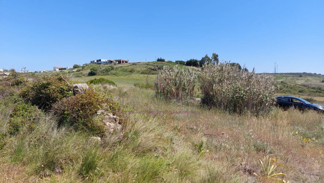 Terreno para Venda em Azinhal Foto 10