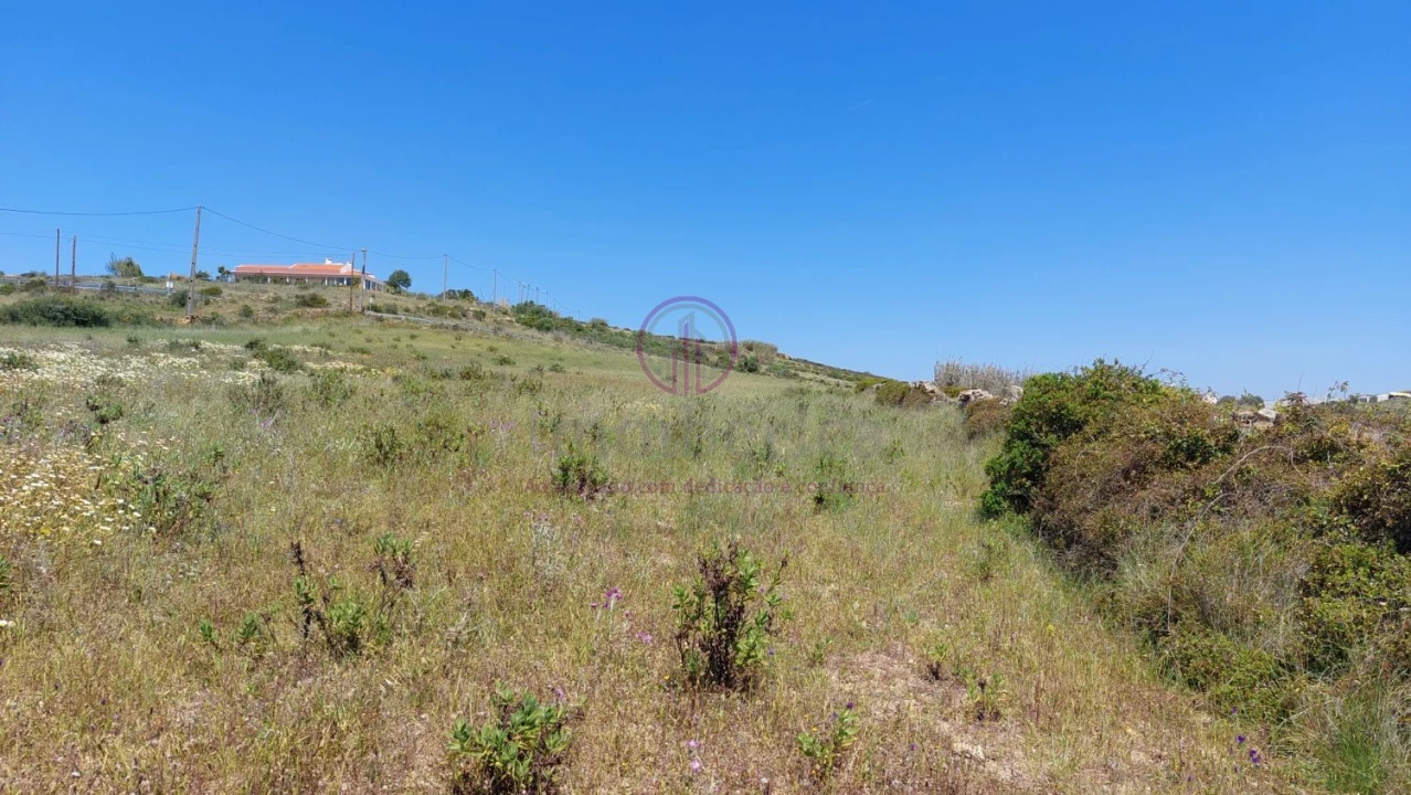 Terreno para Venda em Azinhal Foto 5