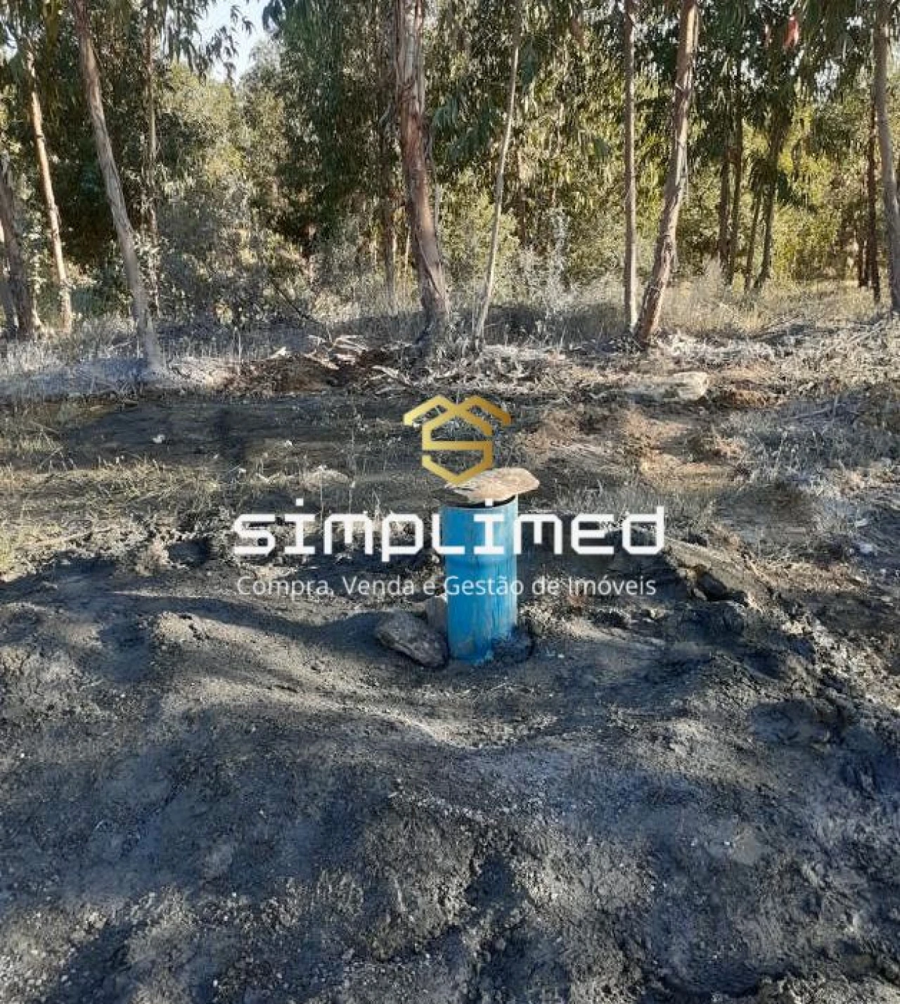 Terreno para Venda em Escalos de Baixo e Mata Foto 5