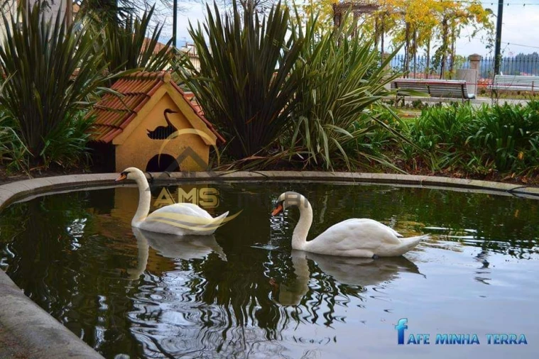 Moradia T3 para Venda em Arões (São Romão) Foto 14