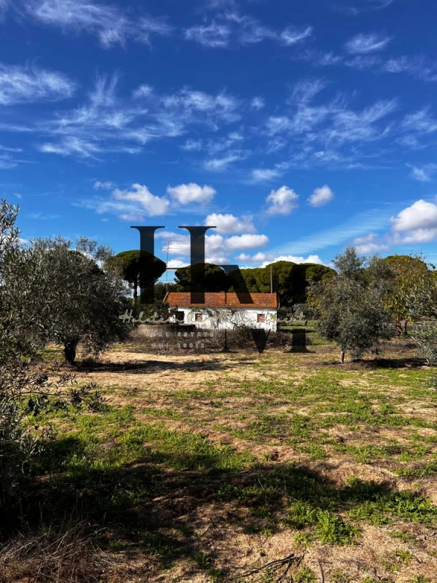 Terreno para Venda em Santa Maria do Castelo e Santiago e Santa Susana Foto 2