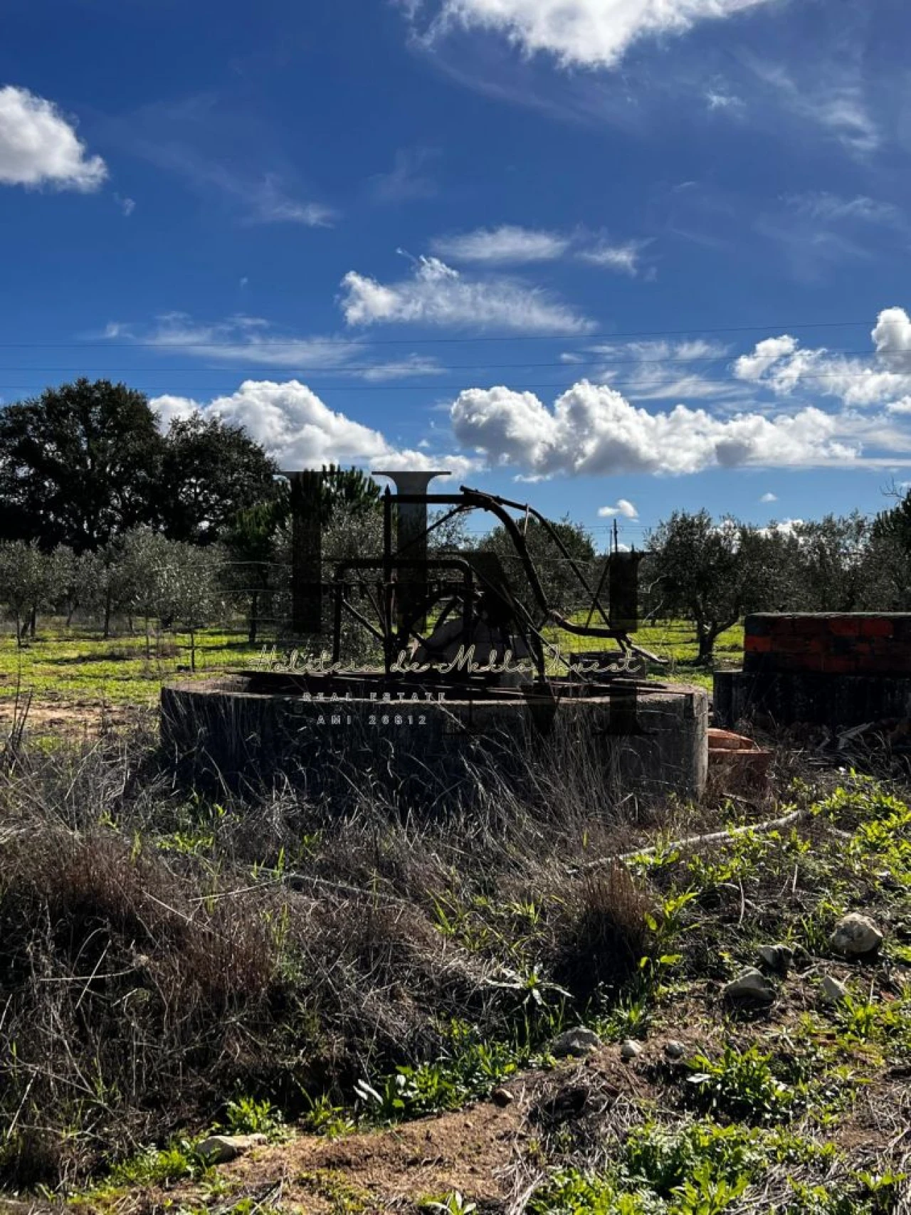Terreno para Venda em Santa Maria do Castelo e Santiago e Santa Susana Foto 3