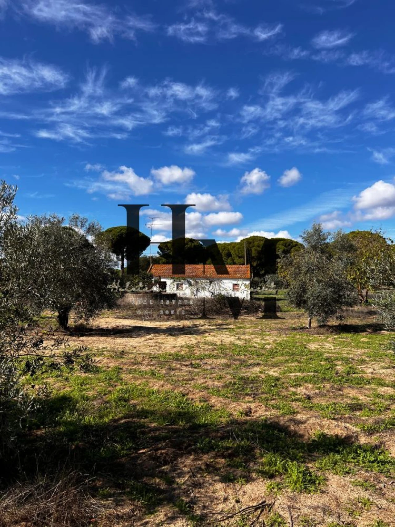 Terreno para Venda em Santa Maria do Castelo e Santiago e Santa Susana Foto 2