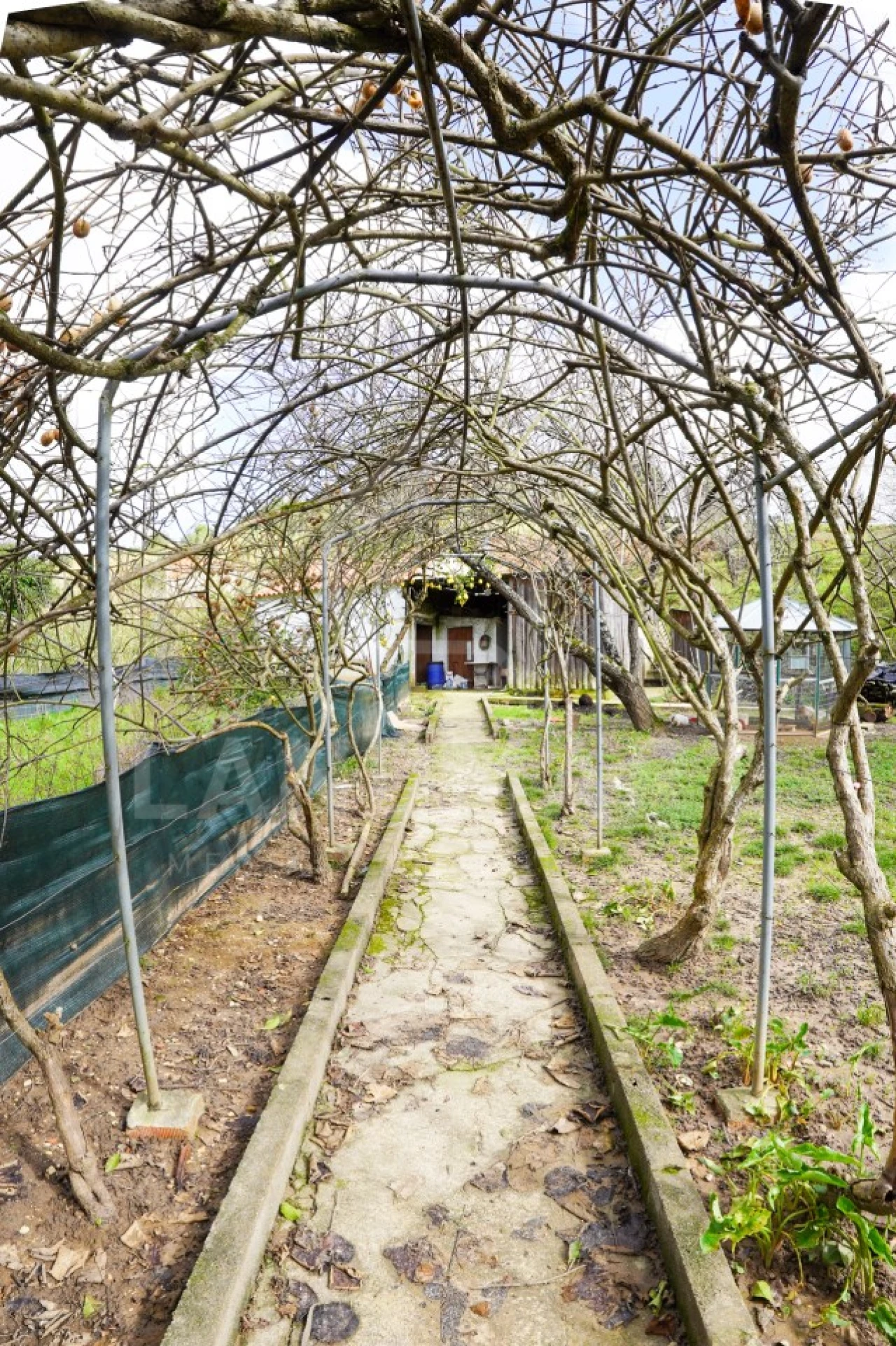 Moradia T3 para Venda em Alcobaça e Vestiaria Foto 29