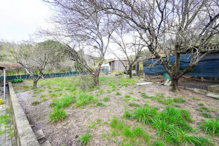 Moradia T3 para Venda em Alcobaça e Vestiaria Foto 22