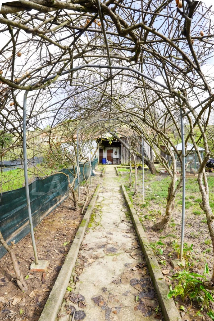 Moradia T3 para Venda em Alcobaça e Vestiaria Foto 29