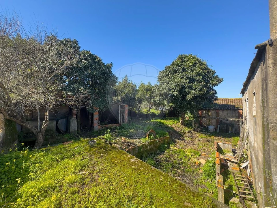 Moradia T3 para Venda em Moçarria Foto 15